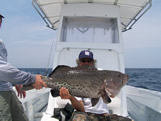 40lb bald head island fishing charters gag grouper